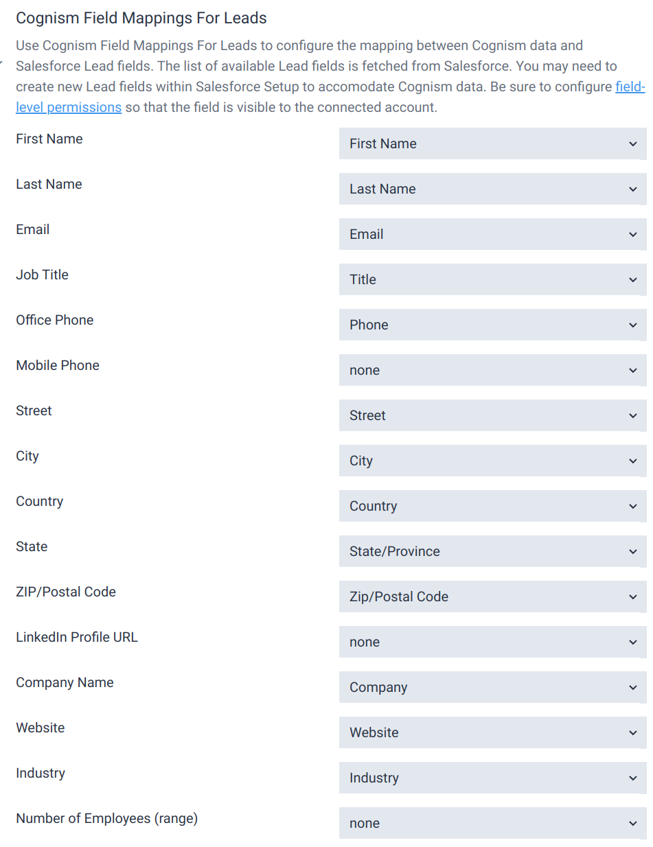 Salesforce Lead Field Mapping