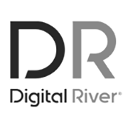 DigitalRiver